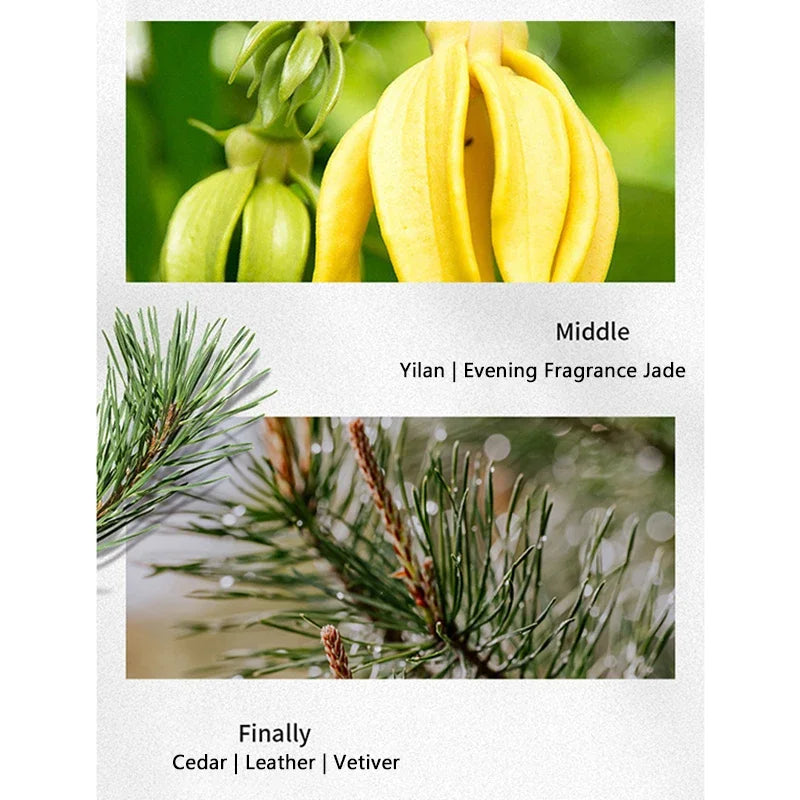 Woda kolońska dla mężczyzn Oryginalne perfumy 30/50ml.