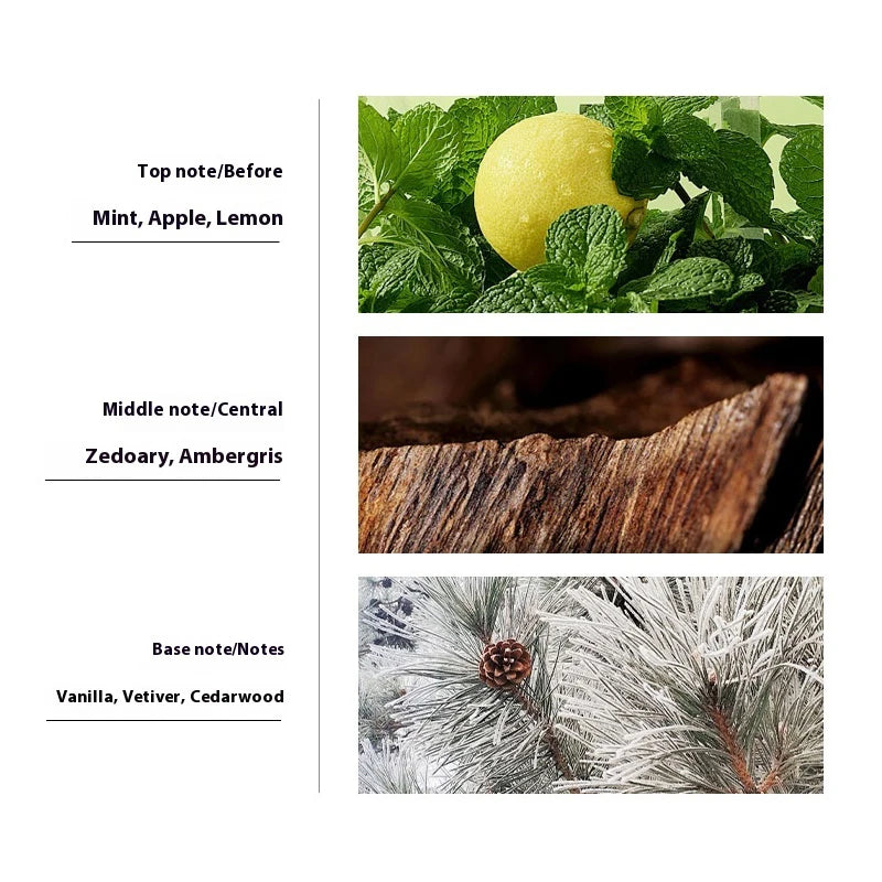 JEAN MISS Perfumy dla mężczyzn Original Luxury Arabes Fougere.