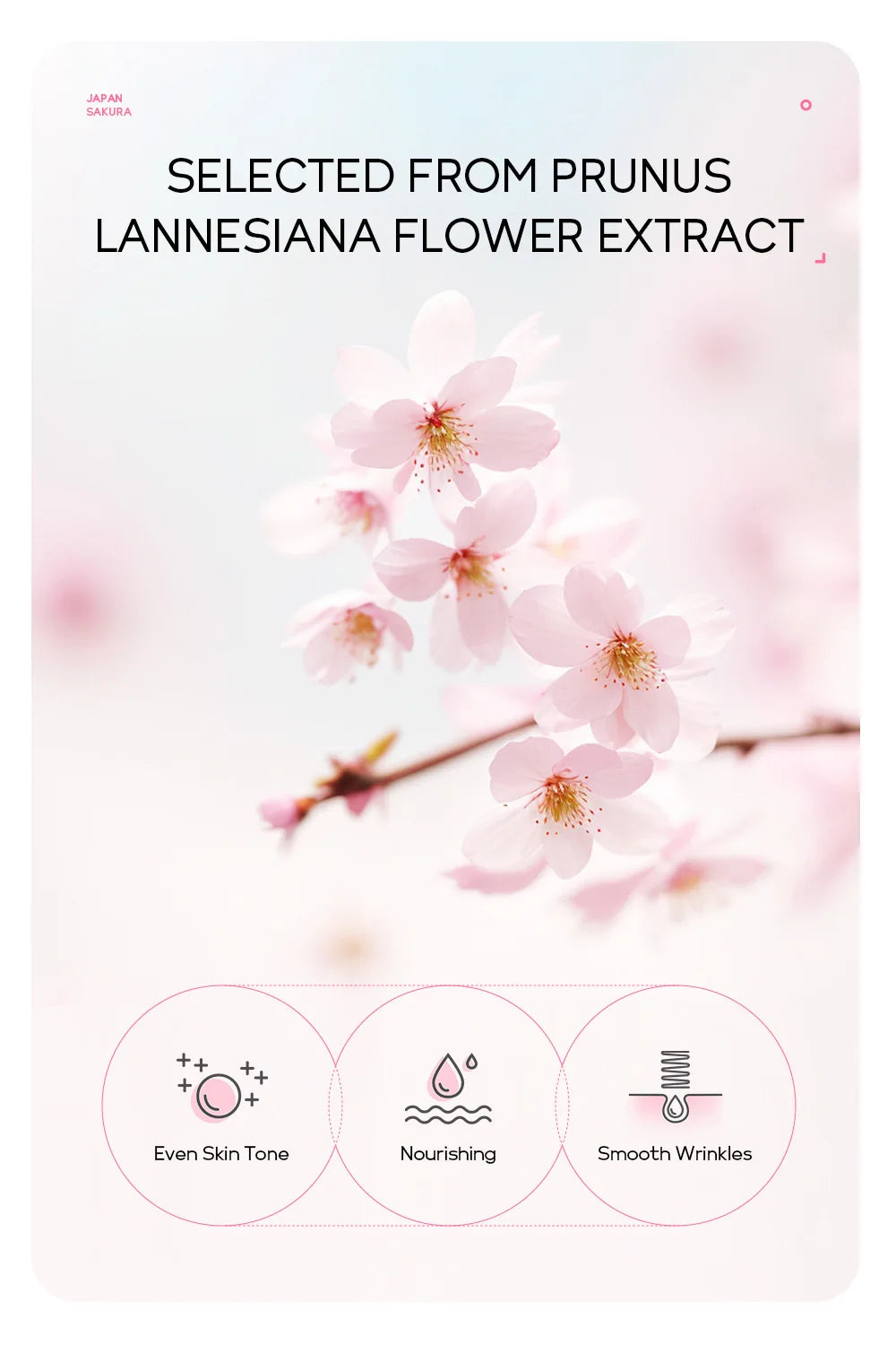 LAIKOU 24K złota maseczka złuszczająca do twarzy Sakura zrywana.