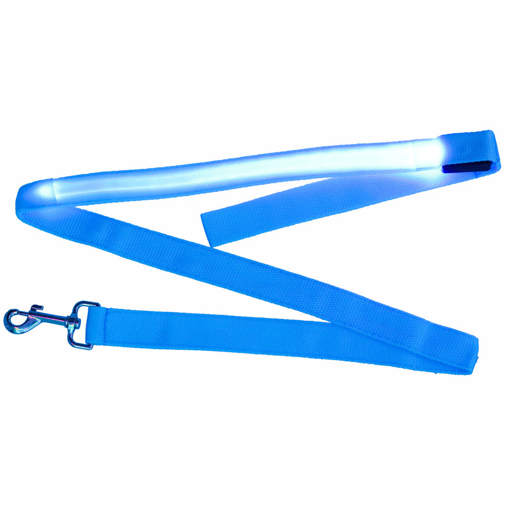 Smycz dla psa kota świecąca na spacer  LED 1,2 m niebieska