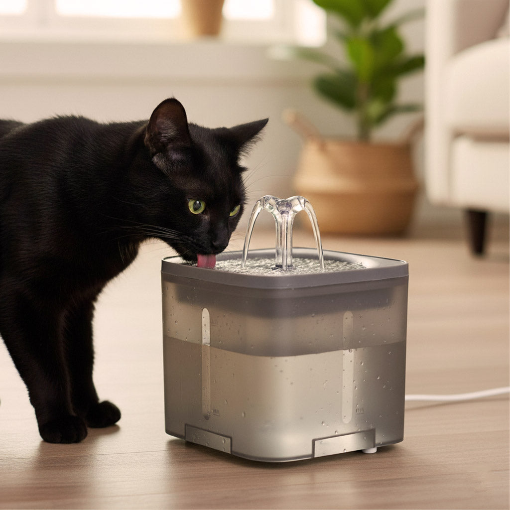 Fontánka pre psy, mačky a domáce zvieratá, automatická napájačka, USB 2l, čistiaci filter